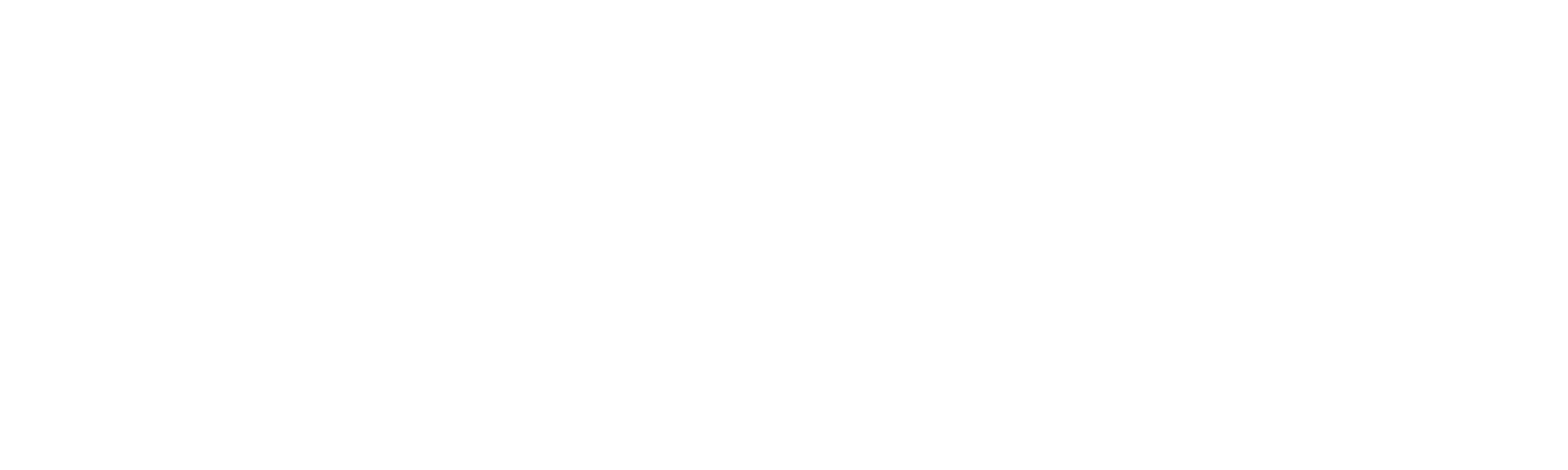 streetwise retail advisors logo white
