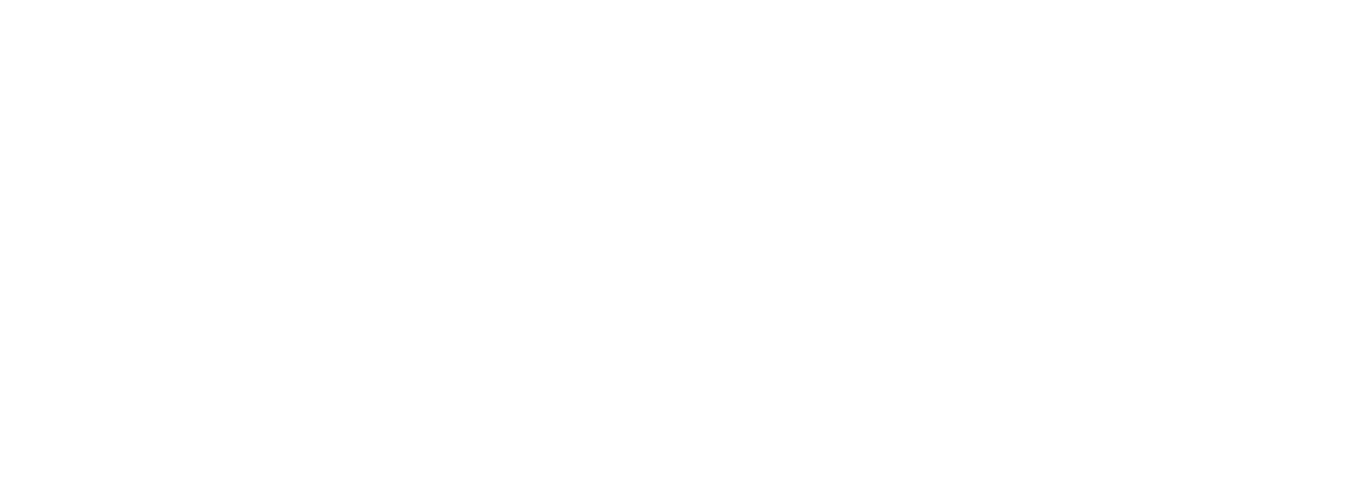 the lerner company logo white