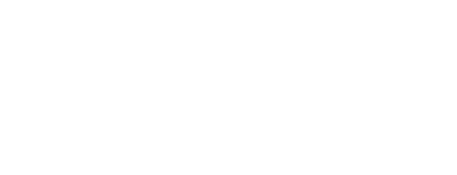 pace properties logo white